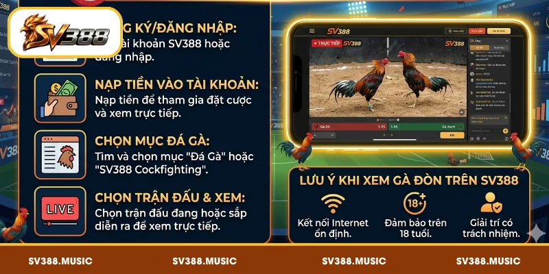 Đá Gà Đòn SV388 – Văn Hóa Gà Chọi Truyền Thống 4 Cách xem đá gà đòn SV388 khá đơn giản