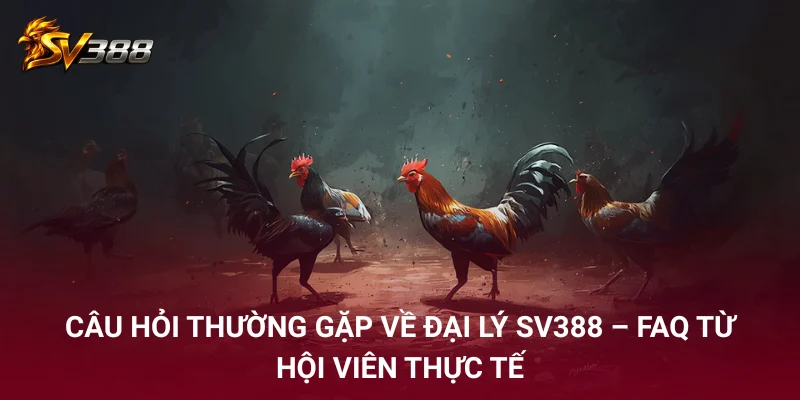 Câu Hỏi Thường Gặp Về Đại Lý SV388 – FAQ Thực Tế Từ Hội Viên 1 Câu hỏi thường gặp về đại lý SV388 – FAQ từ hội viên thực tế