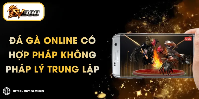 Đá Gà Online Hợp Pháp Không – Pháp Lý Trung Lập 2026 1 Đá Gà Online Có Hợp Pháp Không – Pháp Lý Trung Lập 2026